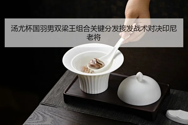 汤尤杯国羽男双梁王组合关键分发接发战术对决印尼老将