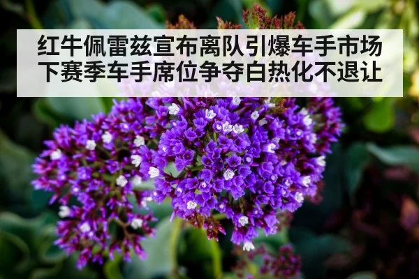 红牛佩雷兹宣布离队引爆车手市场 下赛季车手席位争夺白热化不退让